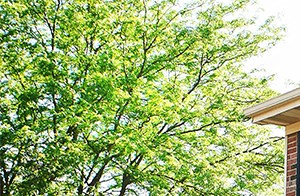 Apartments In Lafayette Indiana - alenaschaad